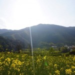 【第一屆新視野徵文活動】煙花四月下杭州