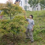 【第一屆新視野徵文活動】緣