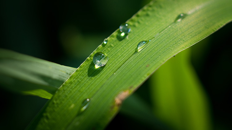 《从生命缺口看见恩典》沛然恩雨