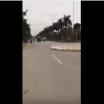 一群鵝過馬路