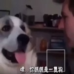 三秒鐘保證笑死