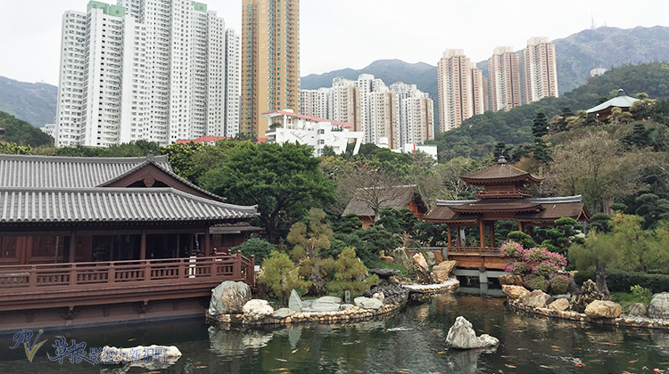 南莲园池——藏在香港闹市的世外桃源