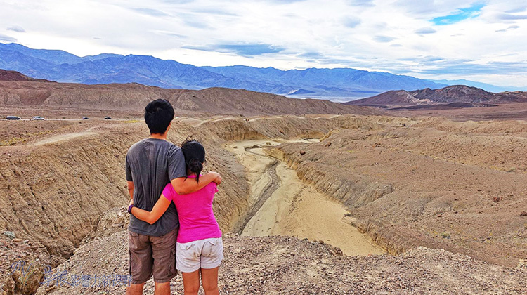 加州死亡谷国家公园—当死亡之谷开满生命之花