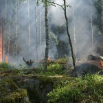 《刘三专栏》如何面对末日灾难警讯 ─从加拿大森林大火说起