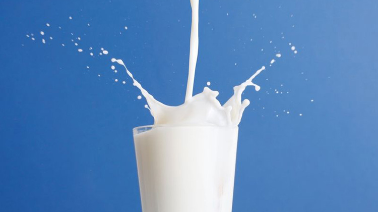 八成以上儿童钙不足　牛奶助孩子高人一等
