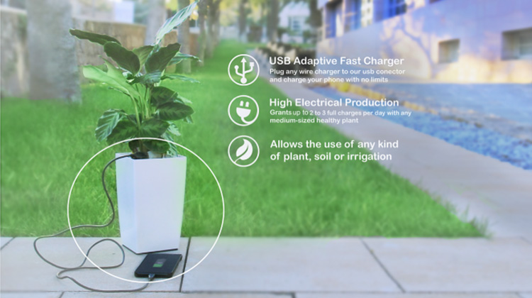 盆栽也可以发电！Bioo为手机使用者提供最“绿”电力