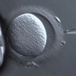 科学家编辑胚胎，让人类也能被设计
