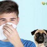 过敏性鼻炎扰人　中医针灸怎么治疗？