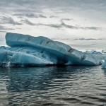 南极水温升1度 生物倍速增长