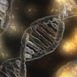 DNA可以移植吗？