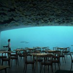 【To Do List】太浪漫了！在魔幻美景的海底餐厅 UNDER 里和情人共进烛光晚餐