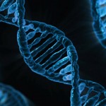 DNA的数字化，背后风险有多大？