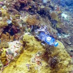 亚洲海域塑胶垃圾问题严重