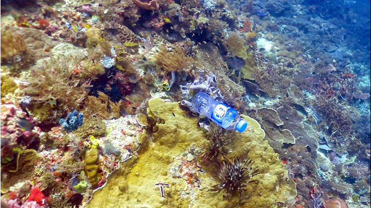 亚洲海域塑胶垃圾问题严重