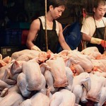 谭敦慈：传统市场买鸡肉安全吗？