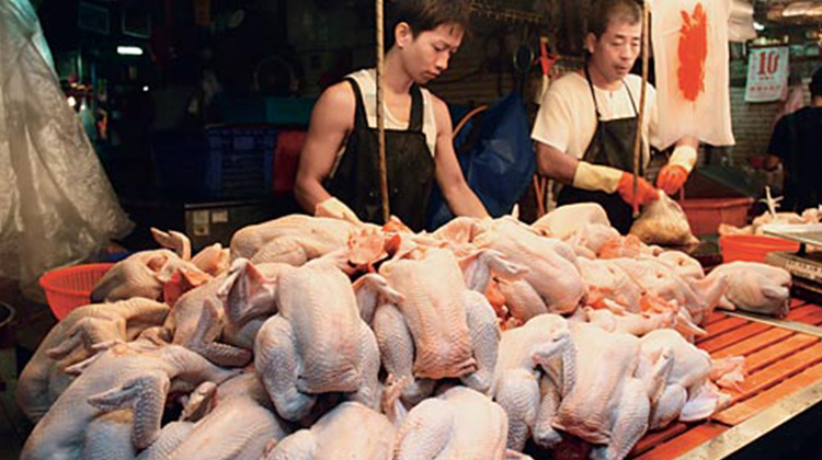 谭敦慈：传统市场买鸡肉安全吗？