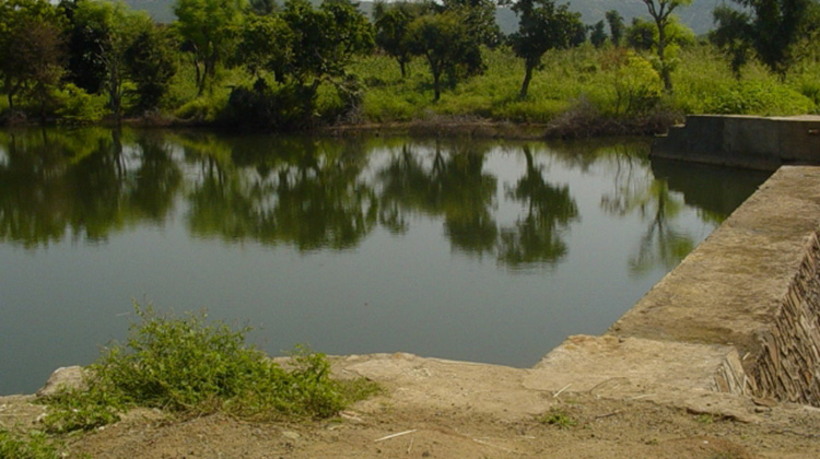 让大自然帮忙储水！72 岁工程师奶奶建“节约水坝”，改善印度干旱困境