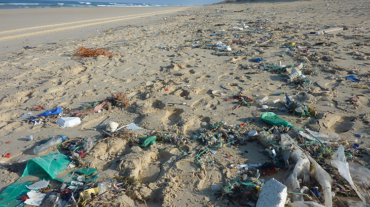 海洋塑胶污染程度远超过想像