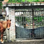 走進淳樸原生態的神木壘