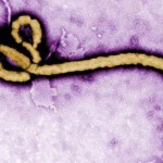 刚果民主共和国爆发埃博拉疫情