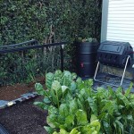 不當文青了我要當都會小農！令人心動的小農人工智慧：FarmBot
