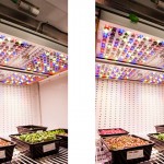 歐司朗智慧植物照明解決方案支持NASA食品生產研究