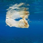 救救海洋！8000公里征程、180天考驗……法國泳將勒康特橫渡太平洋 呼籲世人正視塑膠污染