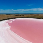 澳大利亚粉红湖之谜