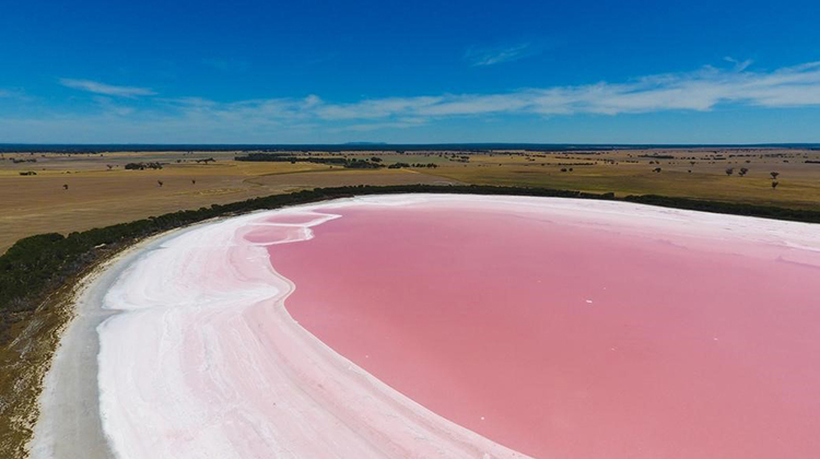 澳大利亚粉红湖之谜