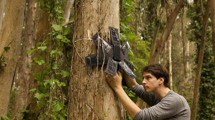 非营利组织使用旧手机拯救热带雨林