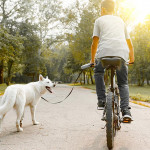 遛狗的运动效果惊人