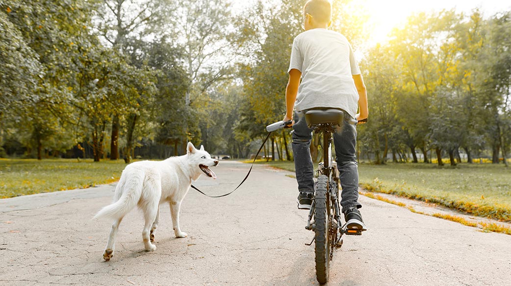 遛狗的运动效果惊人