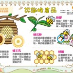 認識蜂產品｜全民愛健康 蜂產品篇1