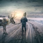 挪威北方的养鹿人捍卫传统