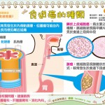 食道癌的種類｜認識癌症 食道癌篇3