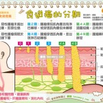 食道癌的分期