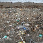 废弃物每年导致100百万人死亡