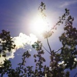 酷暑來了！喝飲料怕不健康嗎？推薦3種清熱消暑自製飲品！