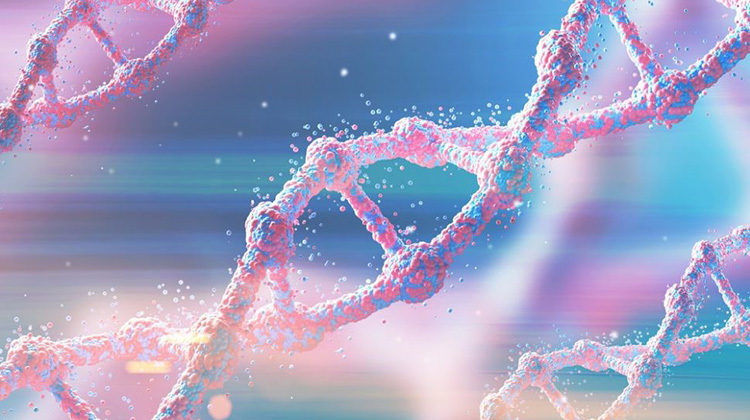 DNA只是100多万个可能的“遗传分子”之一