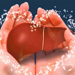 想養肝/護肝/保肝/補肝可以吃什麼天然食物？營養師推薦 2020 年 6 大保肝排毒食物，讓你強肝清肝一把罩！