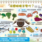 保護眼睛怎麼吃？