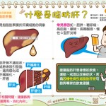 什麼是脂肪肝