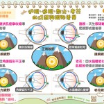 近視、遠視、散光、老花的成因與視野差異