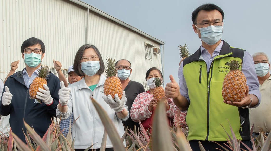 先說說鳳梨吧！