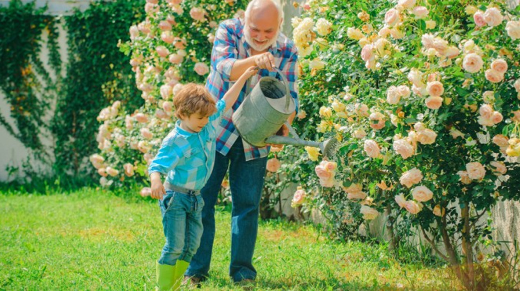 《書畫相撞出火花》銀髮族除了回憶，還能發光