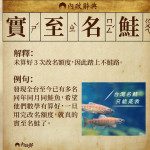 價值觀被扭曲之後