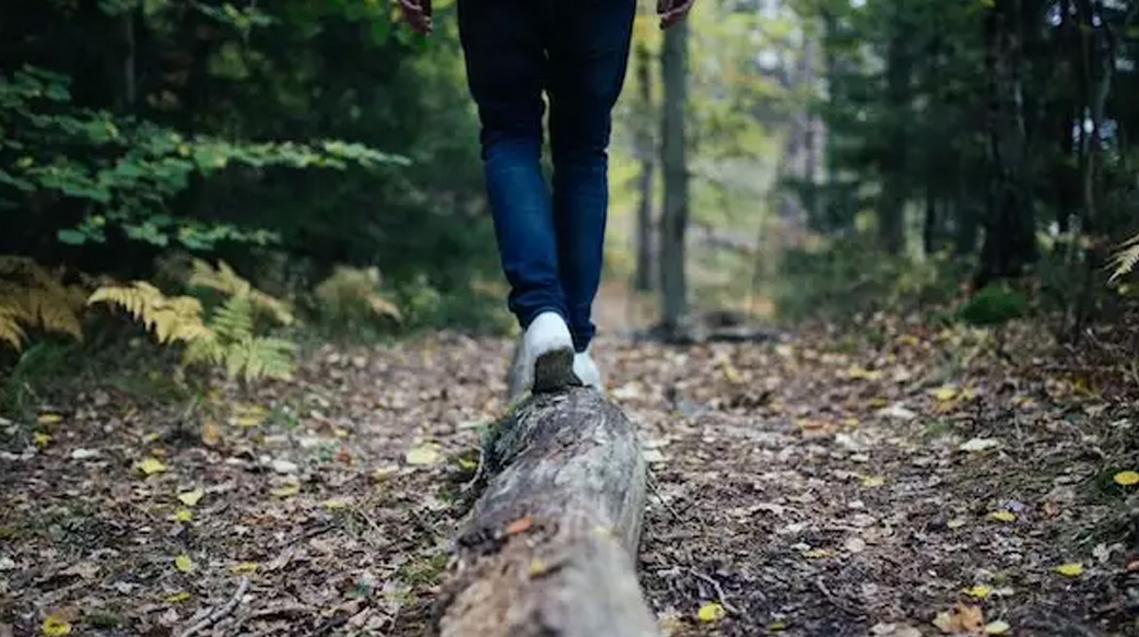 【休息不對，反而更累】專訪腦神經科醫師鄭淳予：想讓大腦高效休息，就走進森林裡