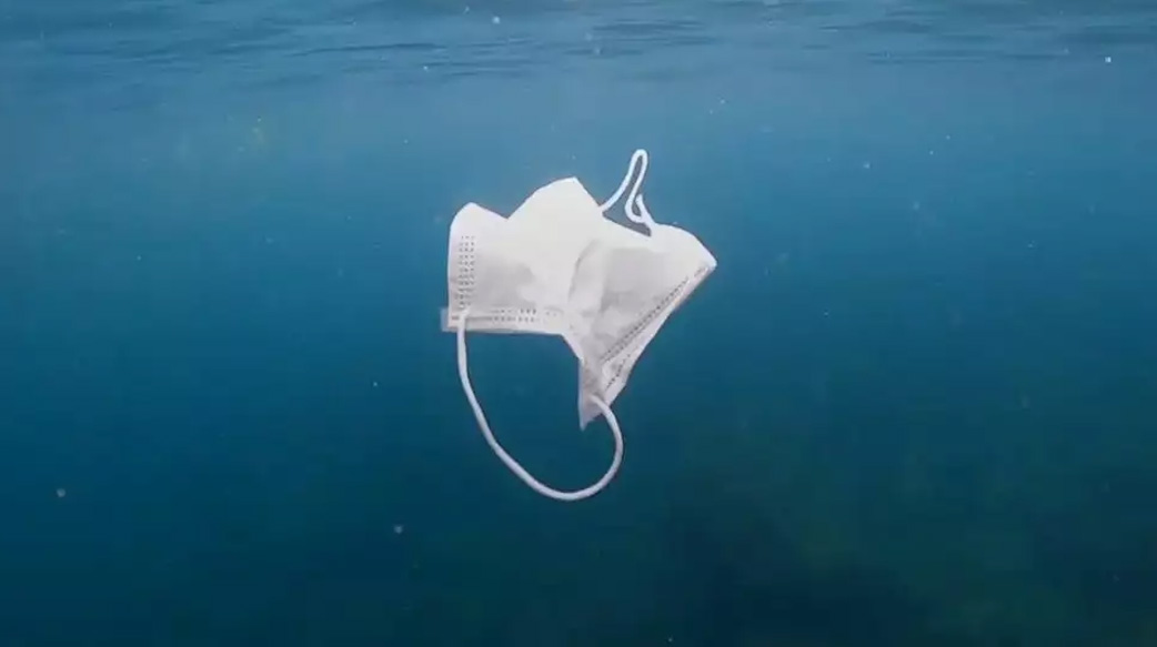 【海龜吃的下個垃圾就是口罩】在海灘找出 10 萬個防疫垃圾！專家：口罩造成海洋污染