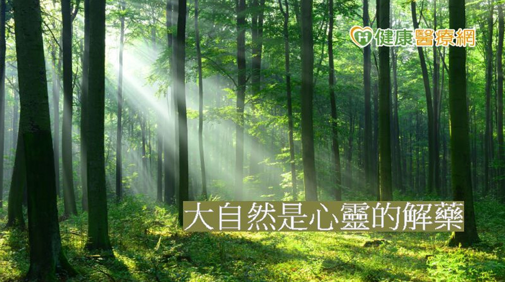 擁抱大自然　掃除壞心情