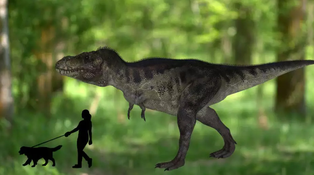 暴龍走路速度比人類還慢！最新研究納入「那個部位」數據推算，你一定逃得了牠！